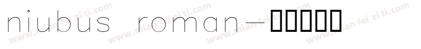 niubus roman字体转换